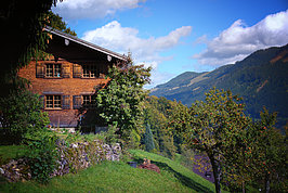 Bernhard Saalfeld - Oktober